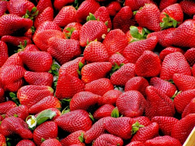 strawberries, wallpaper hd, wallpaper 4k, free wallpaper, cool backgrounds, fruit, food, red fruit, produce, windows wallpaper, hd wallpaper, desktop backgrounds, beautiful wallpaper, laptop wallpaper, full hd wallpaper, harvest, ripe, healthy, 4k wallpaper, vitamin, nutrition, free background, berry, 4k wallpaper 1920x1080, delicious, tasty, wallpaper, mac wallpaper, background