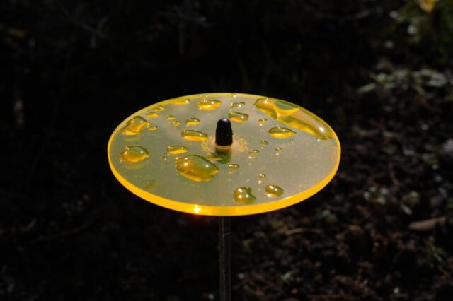 light catcher, yellow, neon yellow, garden decoration, neon orange, sun catcher, fluorescent
