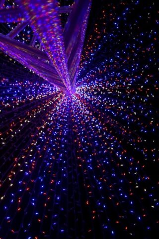 Photo by Cocodillaa.com purple and red string lights