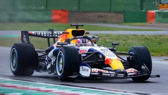 racing bulls wallpaper