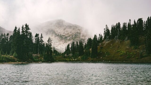 lake in forest near mountain lake in forest near mountain