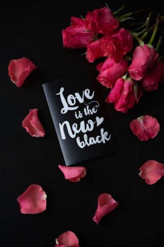 pink roses and a black book with love is the new black written on it