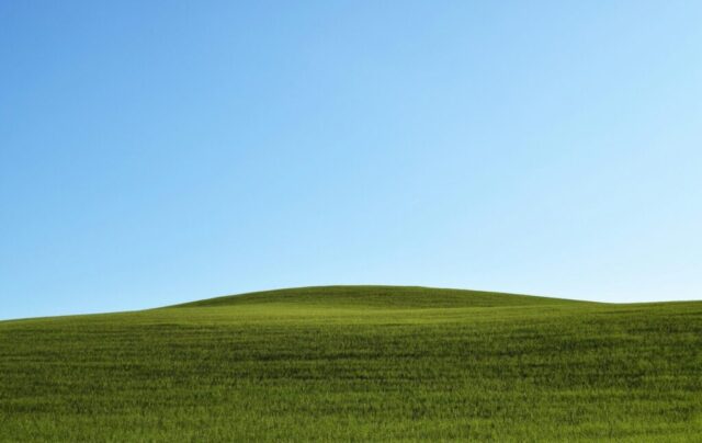 photo of green grass field