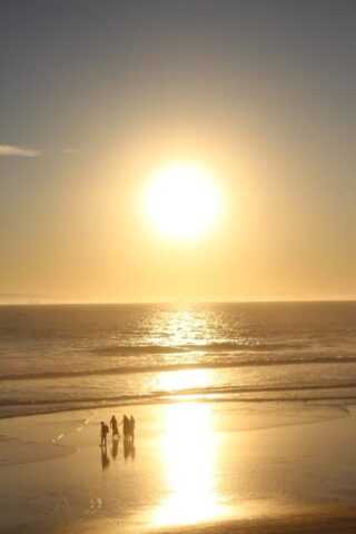 people on beach during sunset
