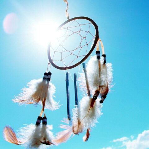 worm's eyeview photo of dream catcher