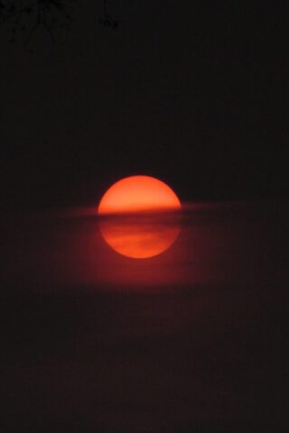 orange round ball on black surface