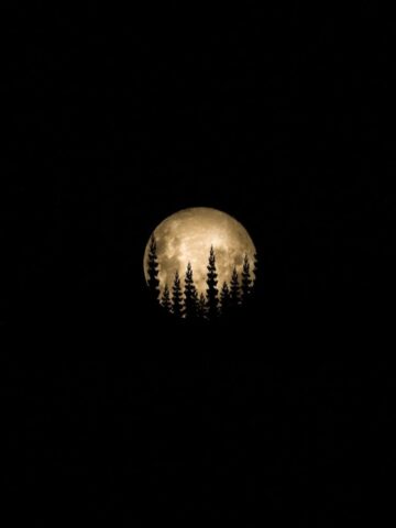 Photo by Cocodillaa.com full moon in dark night sky