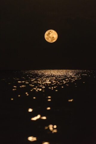 Photo by Cocodillaa.com full moon over the body of water