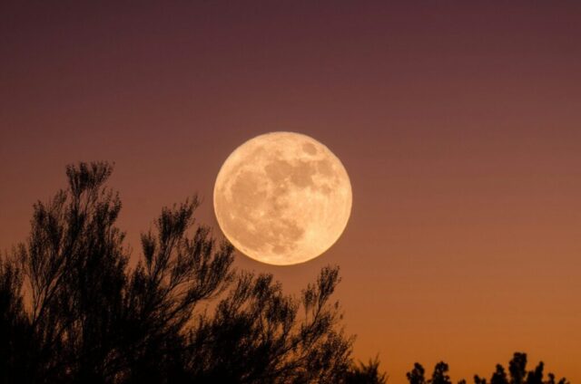 Photo by Cocodillaa.com full moon wallpapers