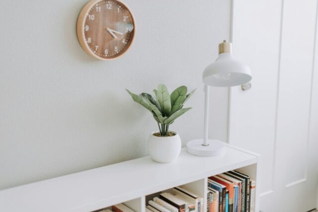 photo by Cocodillaa.com green plant on white pot beside white study lamp
