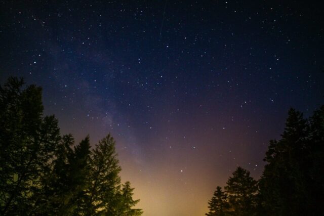green leafed trees under starry night sky green leafed trees under starry night sky