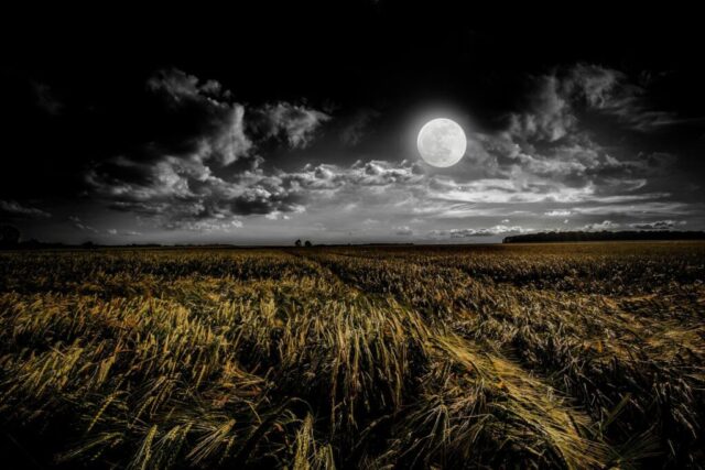 Photo by Cocodillaa.com green grassland during night time