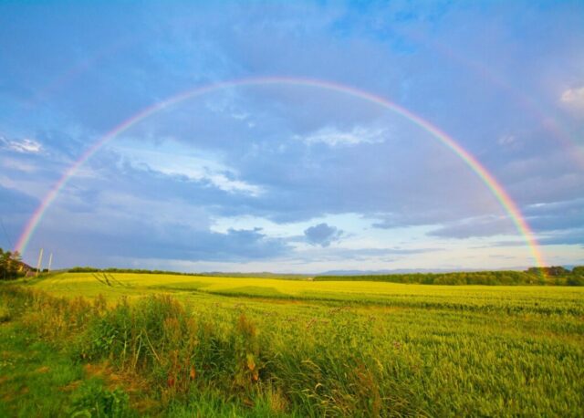 Photo by Cocodillaa.com green grass field under white clouds and rainbow