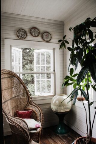 a room with a chair and a potted plant