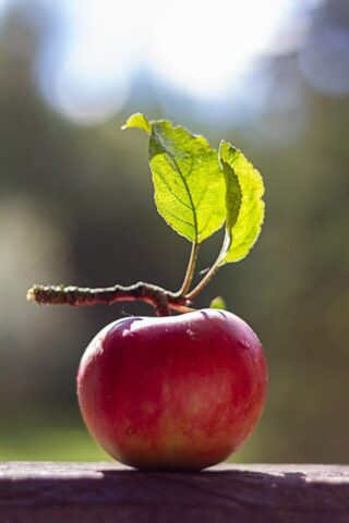 a red apple sitting on top of a wooden table