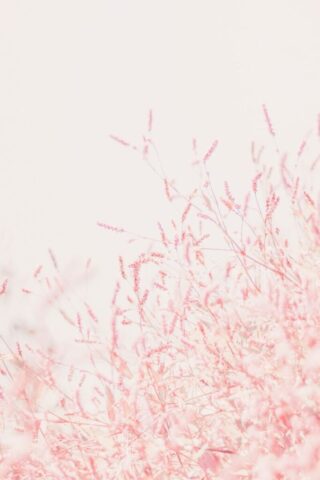 red and white abstract painting
