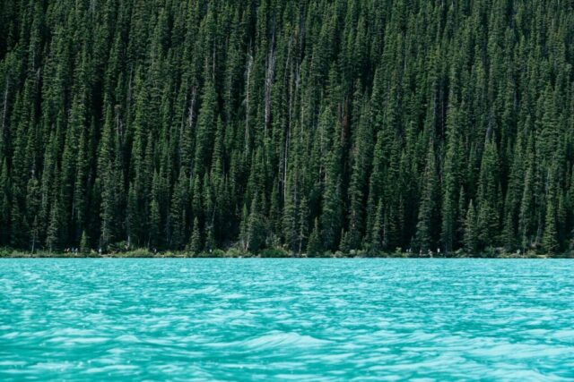 lake beside green pine trees lake beside green pine trees