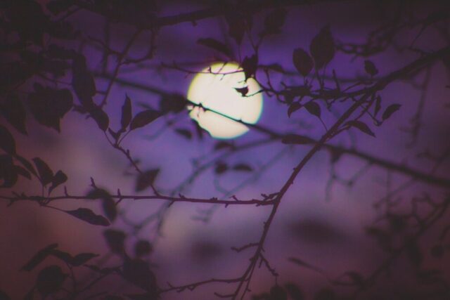 Photo by Cocodillaa.com Purple Sky Moon Wallpaper 4K