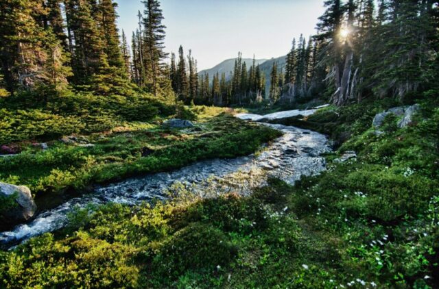 landscape photography of river with trees landscape photography of river with trees