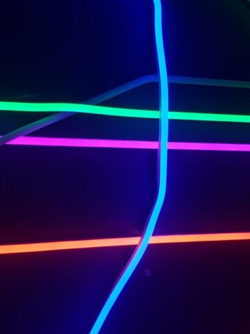assorted-color neon lights