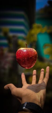 red apple near person's hand