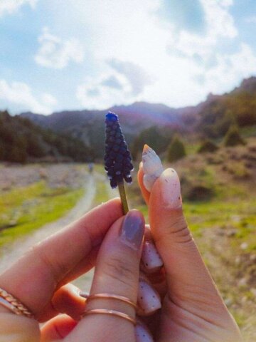 a person holding a small flower