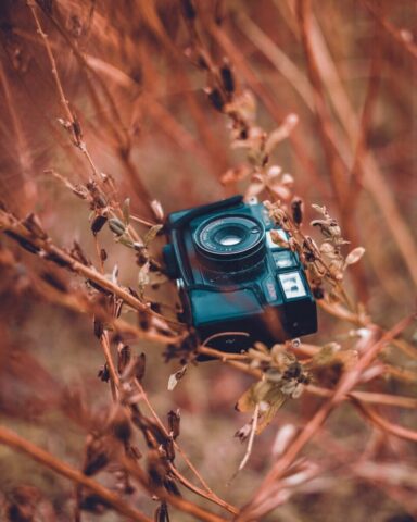 a camera sitting on top of a tree branch