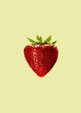 red strawberry fruit with white background