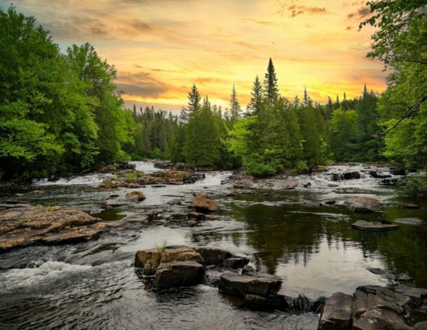 green pine trees beside river during daytime green pine trees beside river during daytime