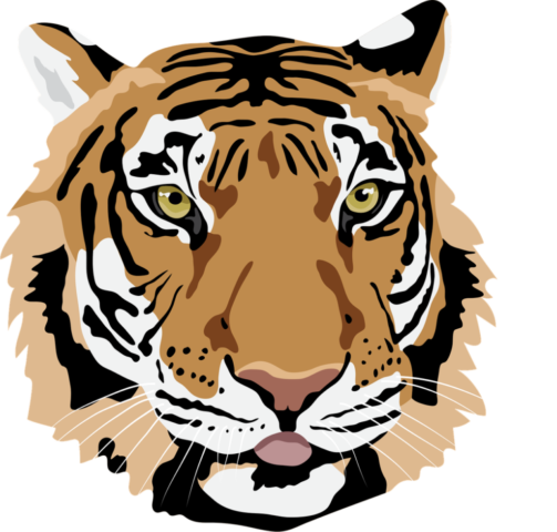 Wild tiger poster Wild tiger poster