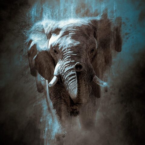 elephant, nature, tusk, namibia, africa, african bush elephant, african savanna elephant, african elephant, animal, creativity, artwork