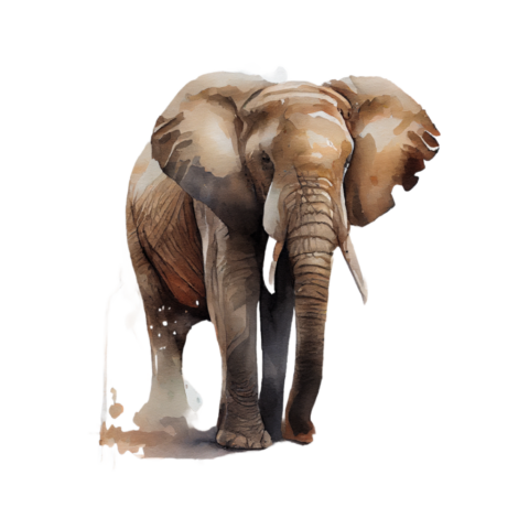 ai generated, elephant, african elephant, watercolor, safari, art, transparent elephant, wildlife, painting, savannah animal, earthday