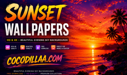 Sunset Wallpapers HD & 4K – Beautiful Evening Sky Backgrounds Free Download