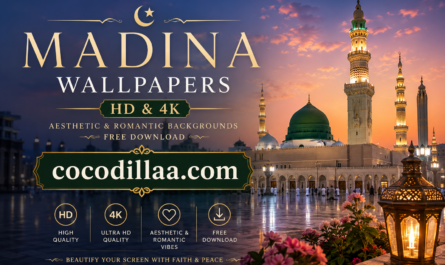 Madina Wallpapers Muhammad Wallpapers HD Madina Sharif Wallpapers Madina HD Wallpaper 4K