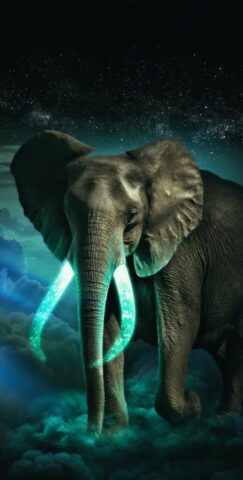 elephant wallpaper latest download