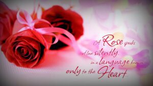 love quotes in english hd wallpapers