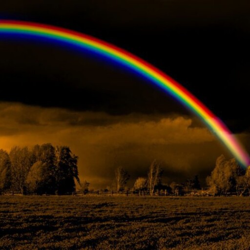 Rainbow HD Wallpaper