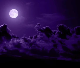 night aesthetic wallpaper laptop