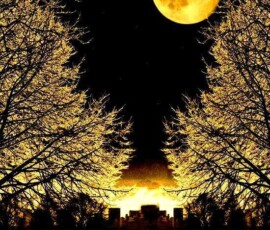 Moon Wallpapers HD, 4K & Ultra HD Free Download 7 moon wallpaper aesthetic