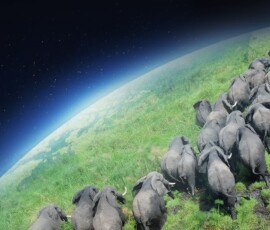 earth day wallpaper free
