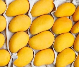Mango Fruit Wallpapers