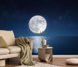 Moon Wallpapers HD, 4K & Ultra HD Free Download 17 moon wallpapers hd