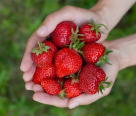 π Strawberry Wallpapers HD & 4K β Fresh, Aesthetic Backgrounds Free Download 12 strawberry wallpaper ipad