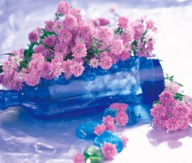 Flowers Wallpapers HD (4K, 8K) – Beautiful Floral Backgrounds Free Download 9 blue bottle pretty bottle shiney floral glass flowers beauty nature pink blue