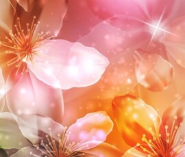 Flowers Wallpapers HD (4K, 8K) – Beautiful Floral Backgrounds Free Download 11 shiny flowers color fantasy flower shine