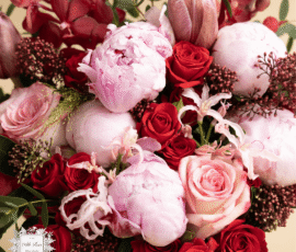 Flowers Wallpapers HD (4K, 8K) – Beautiful Floral Backgrounds Free Download 13 Peonies wallpapers