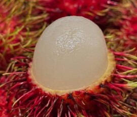 Lychee Wallpaper