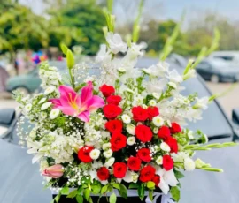 Flowers Wallpapers HD (4K, 8K) – Beautiful Floral Backgrounds Free Download 54 flowers wallpapers for mobile