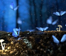 high definition fantasy wallpaper