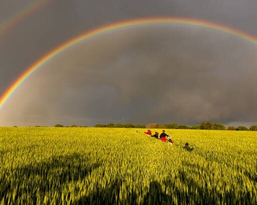 Children playing in a fresh green agricultural field against beautiful rainbow in a spring evening